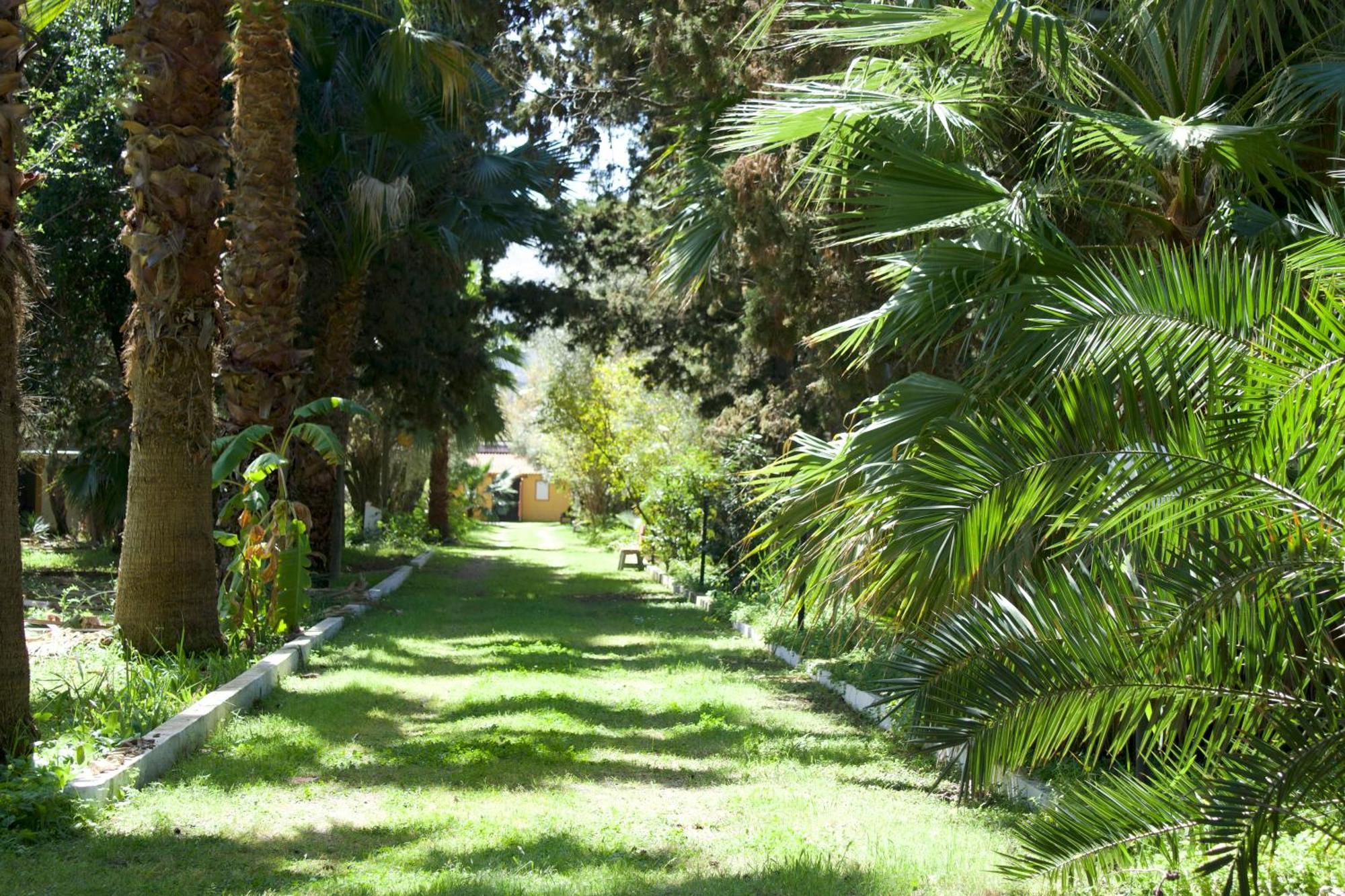 Villette Vacanze Bivona Bivona (Calabria) Exterior foto