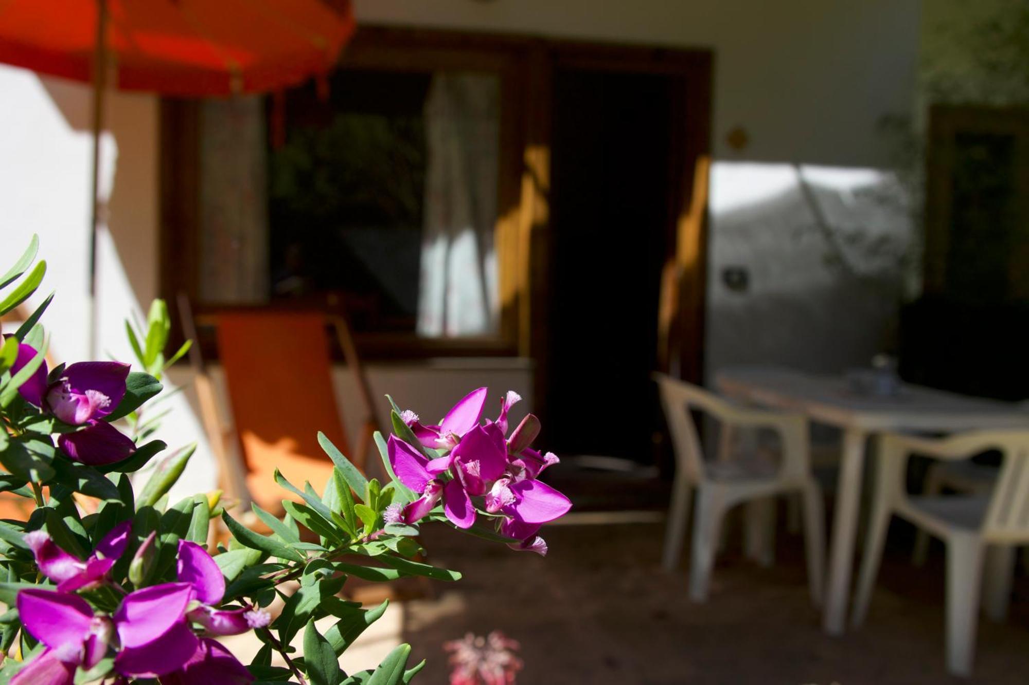 Villette Vacanze Bivona Bivona (Calabria) Exterior foto