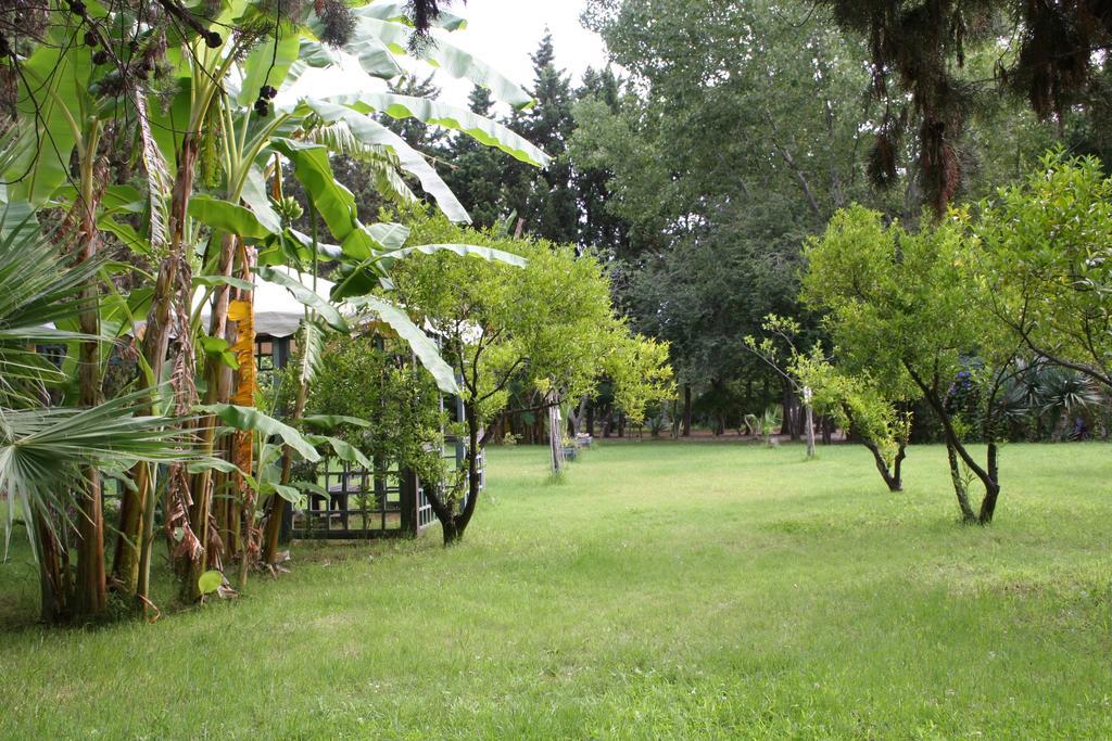 Villette Vacanze Bivona Bivona (Calabria) Quarto foto