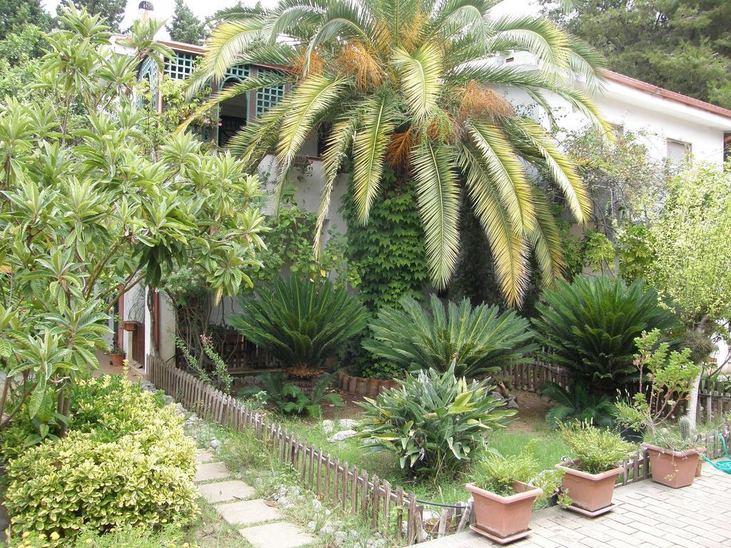 Villette Vacanze Bivona Bivona (Calabria) Quarto foto